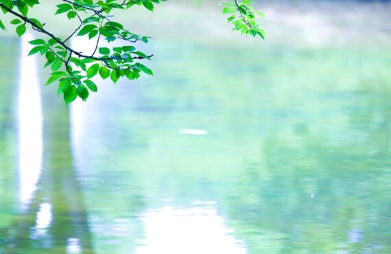 大分県初AQUAのマシン！YOUTUBEでも話題沸騰中のセルゼロは本当に痩せるのか！